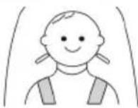 Topmark Lucca T8003 - WARNING: ALWAYS USE THE CROTCH STRAP WITH WAIST BELT. - 4