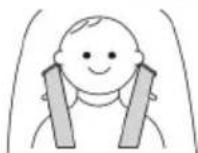 Topmark Lucca T8003 - WARNING: ALWAYS USE THE CROTCH STRAP WITH WAIST BELT. - 5