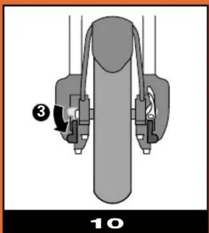 QUINNY XL Formula - XL FORMULA ③ - 10
