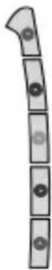 Tevion MD 80383 - 7
