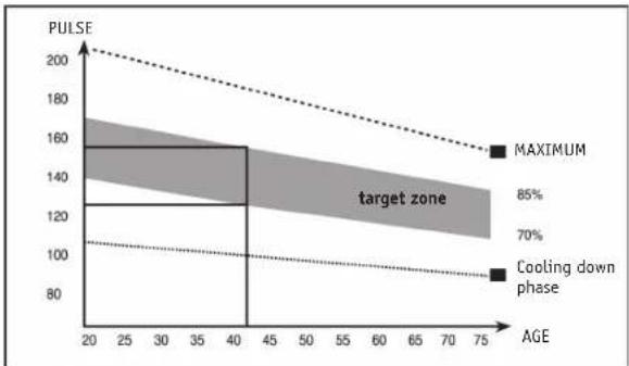 REX PX400 E - Workout phase - 1