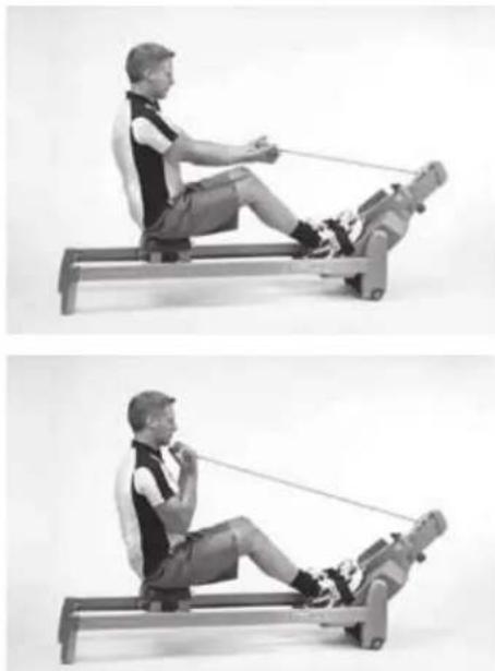TUNTURI R60 - BICEPS TRAINING - 1