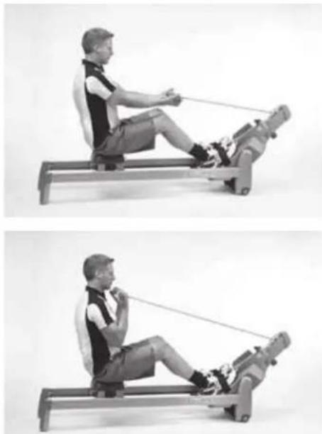 TUNTURI R60 - BICEPS (ELBOW FLEXORS) - 1