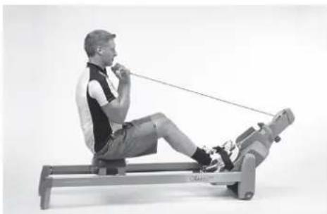 TUNTURI Classic Row 3.0 - ARMBEUGER - 2