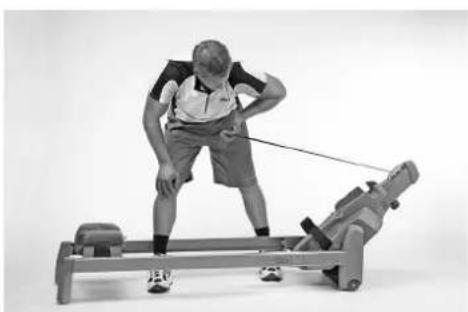 TUNTURI Classic Row 3.0 - BRUSTMUSKELN - 2