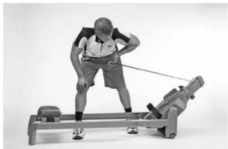 TUNTURI Classic Row 3.0 - MUSCLES PECTORAUX - 2