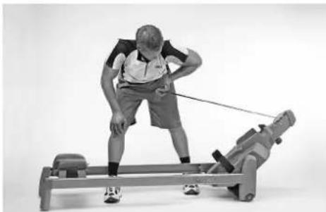TUNTURI Classic Row 3.0 - MUSCULOS PECTORALES - 2