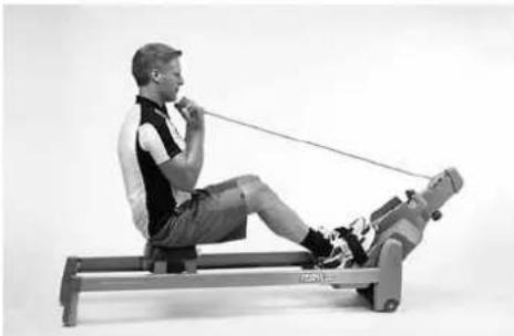 TUNTURI R35 - BICEPS (ELBOW FLEXORS) - 2