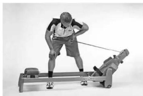 TUNTURI R35 - MUSCLES PECTORAUX - 2