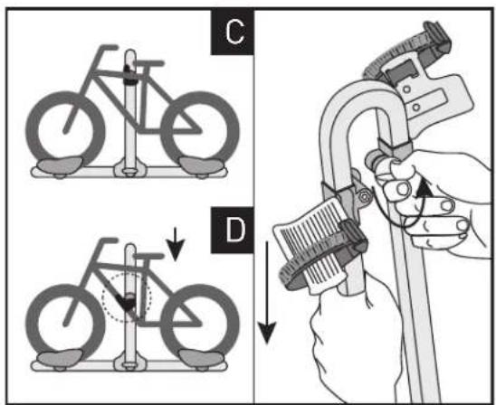 Saris Freedom - LOAD BIKES / CARGAR BICICLETAS / CHARGEMENT DES VÉLOS - 7