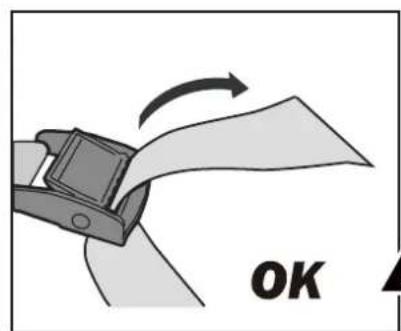 Buzz Rack Pilot - 14