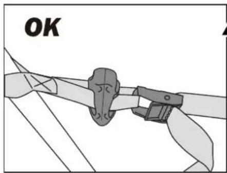Buzz Rack Pilot - 11