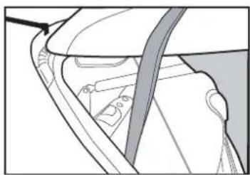 Buzz Rack Spider - 2