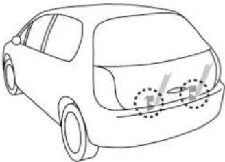 Buzz Rack Spider - 6