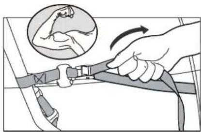 Buzz Rack Spider - 5