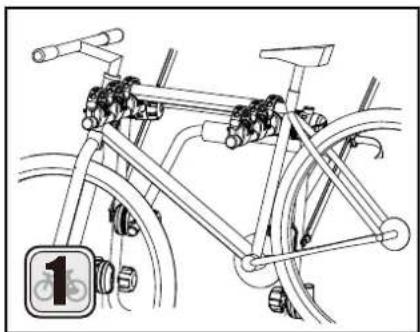 Buzz Rack Spider - 11
