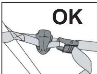 Buzz Rack Spider - 10