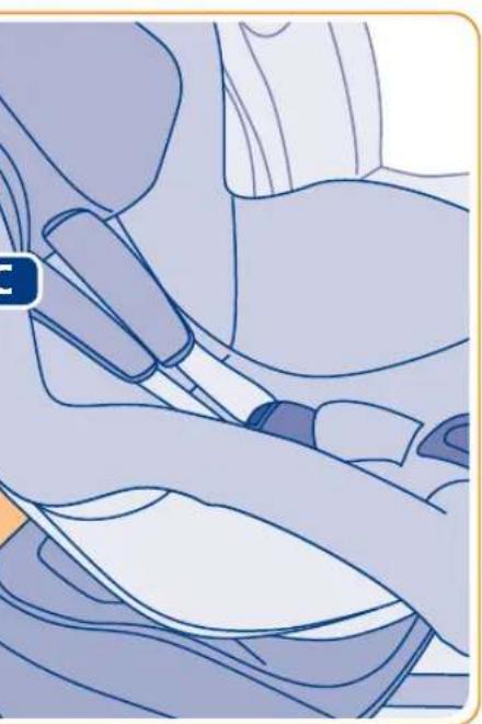 Inglesina Amerigo IFix - Amerigo HSA Ifx - 28