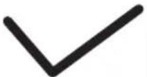 PEG PEREGO Viaggio 0+1 Switchable - BELTED - 7