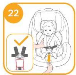 Joie Stages - Note - 6