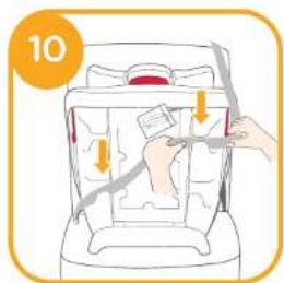 Joie Stages - Note - 3