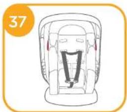 Joie Tilt - Assemblage du harnais pour épaules - 5