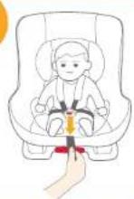 Joie Tilt - Note - 11