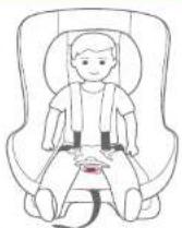 Joie Tilt - Prendendo seu filho nacadeira para carro consulte as imagens - 1