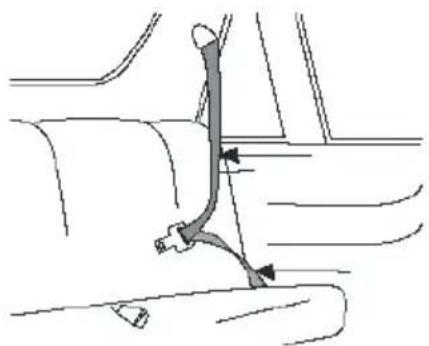 Baninni BN517 - Type of approved seat belt you must have - 1