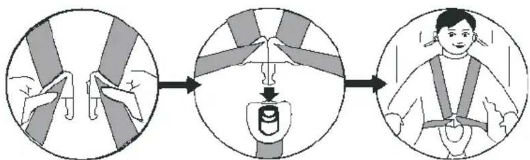 Baninni BN517 - Fastening the safety seat buckle. - 1