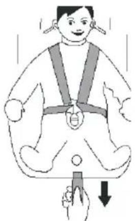 Baninni BN517 - Tighten the harness - 1