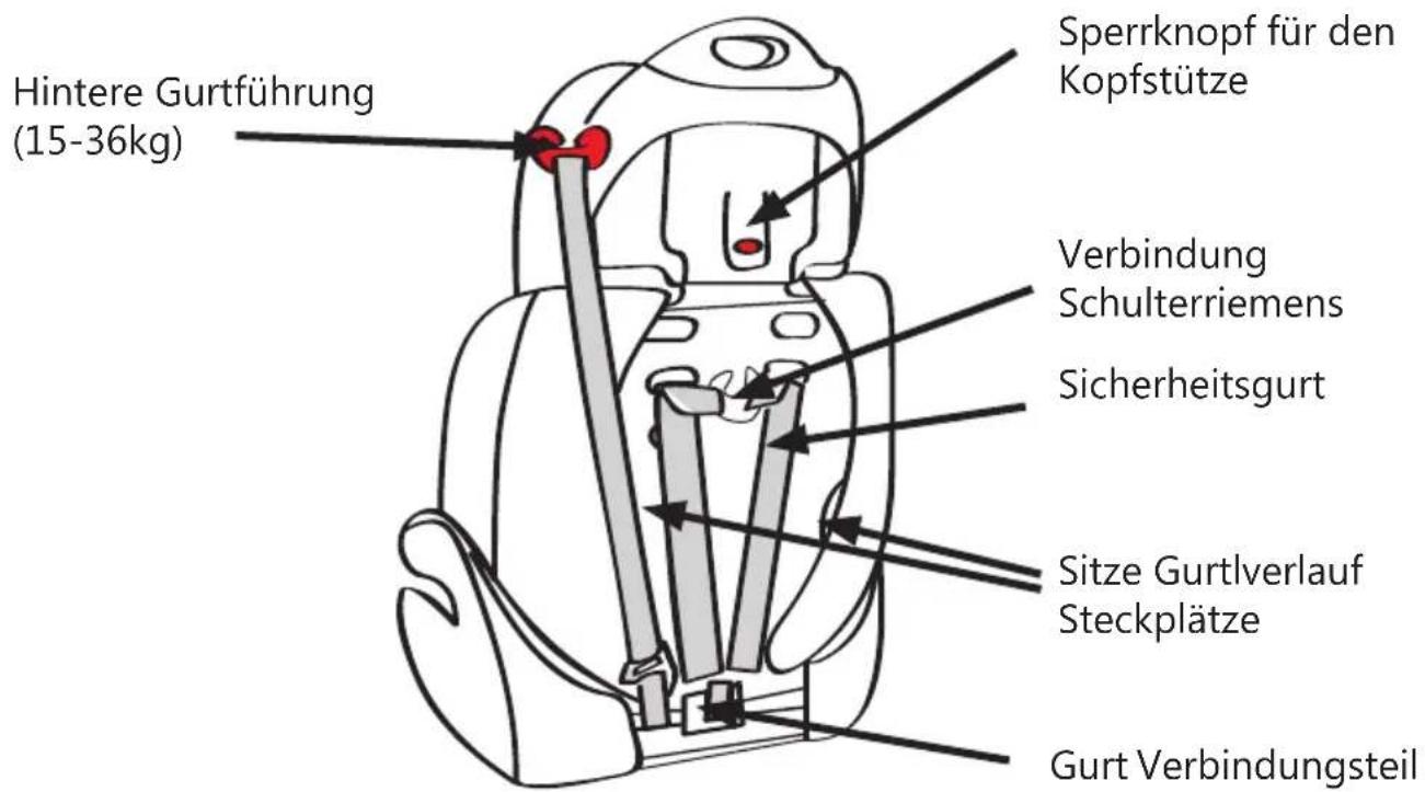 Baninni BN517 - Die Teile - 1