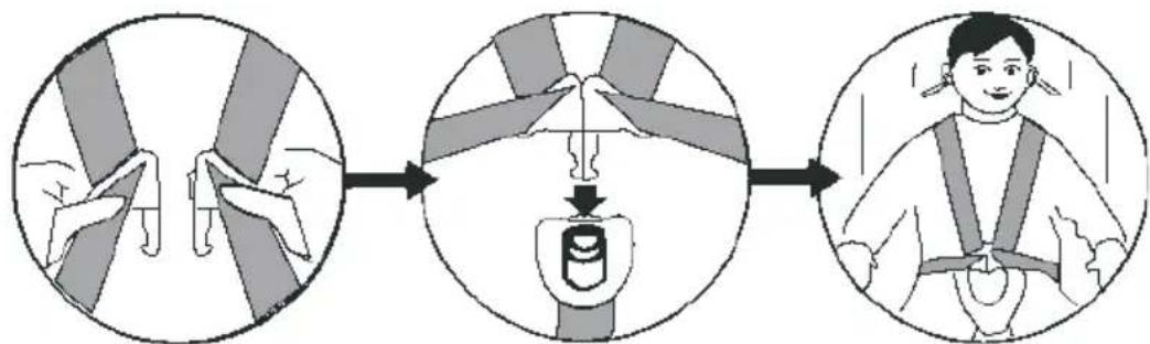 Baninni BN517 - Nutzung der Schnalle - 1