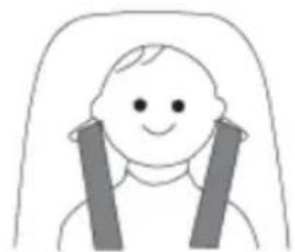 Baninni BN513 - Adjusting the shoulder height (group I) - 2