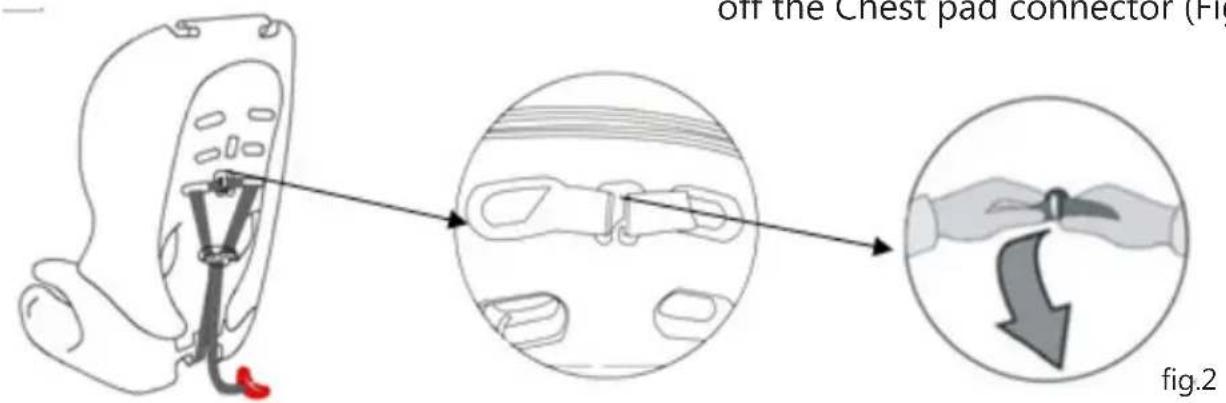 Baninni BN513 - Removal of the harness - 2