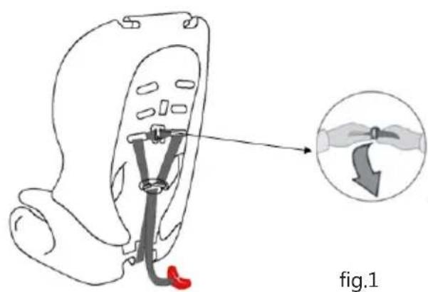 Baninni BN513 - CARSEAT BN513 INSTRUCTIONS - 1