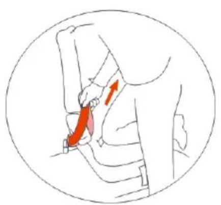 Baninni BN513 - Catégorie I (9-18 kg) : La ceinture doit passer par le crochet supérieur! - 1