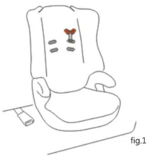 Baninni BN513 - Entfernen die Gürtel - 4