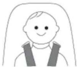 Baninni BN513 - APPLICATION DANS UN VEHICULE - 3