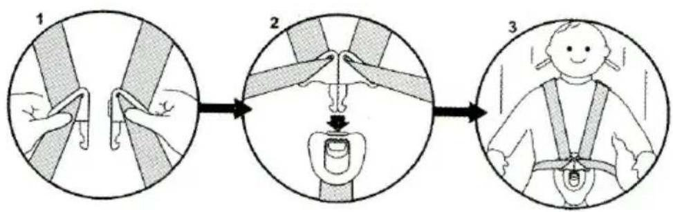 Baninni BN513 - Das Kind angeschnallt mit das Gurtzeug - 2