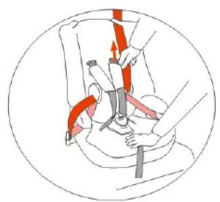 Baninni BN513 - Group I( 9-18KG) : The adult belt should pass through the top hook! - 2
