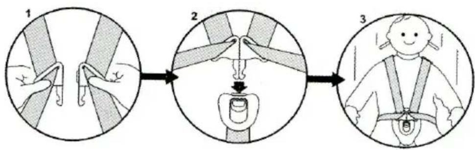 Baninni BN513 - Securing the child with the harness - 2