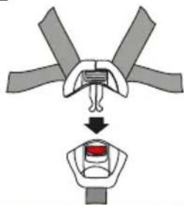 Baninni BN3501 Impero Isofix - Usage of buckle. - 2
