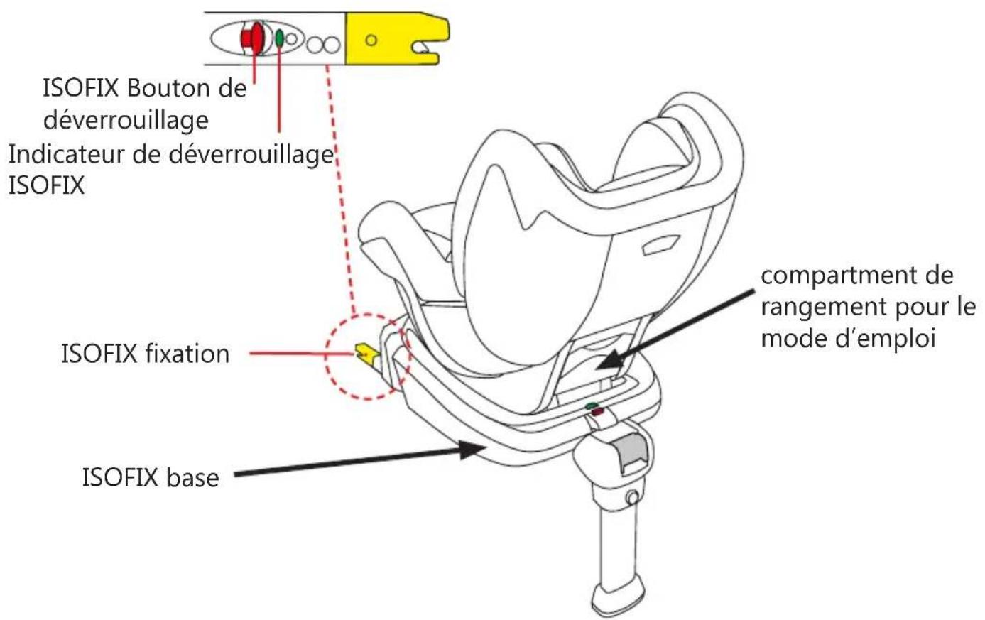 Baninni BN3501 Impero Isofix - STRUCTURE - 2