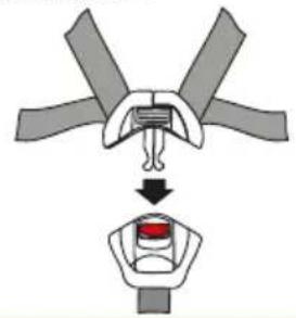 Baninni BN3501 Impero Isofix - Schritt 1 Schritt 3Schritt 2 - 2