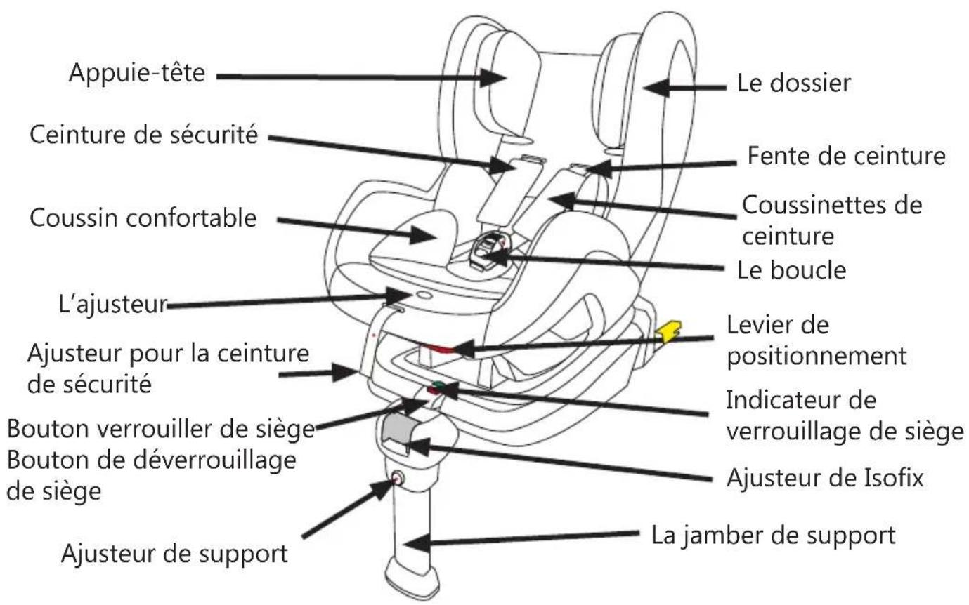 Baninni BN3501 Impero Isofix - STRUCTURE - 1