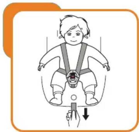 Baninni BN3501 Impero Isofix - Einstellen und verwenden der Sicherheitsgurte - 2