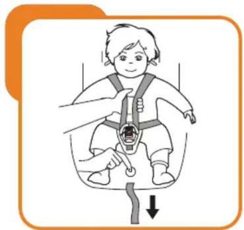 Baninni BN3501 Impero Isofix - Einstellen und verwenden der Sicherheitsgurte - 1