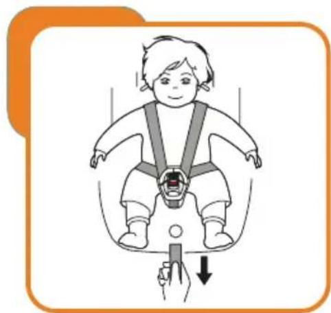 Baninni BN3501 Impero Isofix - Adjust and use the harness - 2