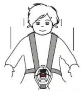 Baninni BN3501 Impero Isofix - Schritt 1 Schritt 3Schritt 2 - 3